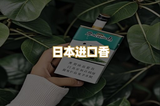日本进口香